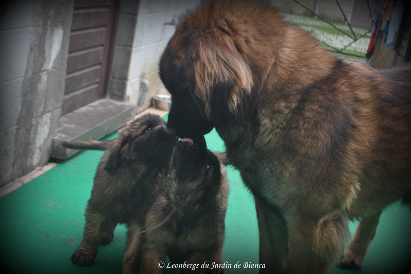 Bisous tendres avec Iéléna