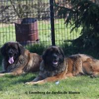 Iéléna et Qapucine