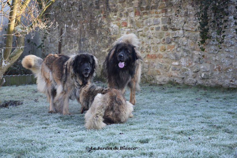 Forest , Nikkos et Peytonn couchée