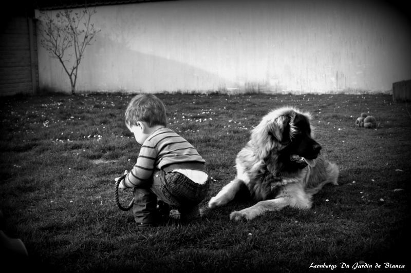 Forest et Elliot