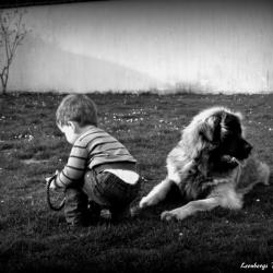 Forest et Elliot