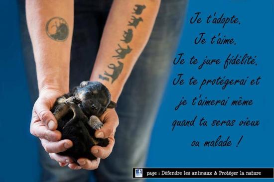Parce que nous nous sommes choisis